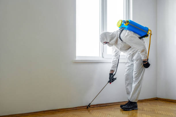 Best Termite Control Services  in Benson, AZ
