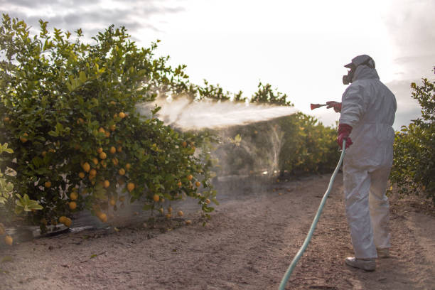 Bird Control in Benson, AZ