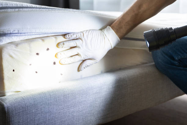 Best Affordable Pest Control Services  in Benson, AZ