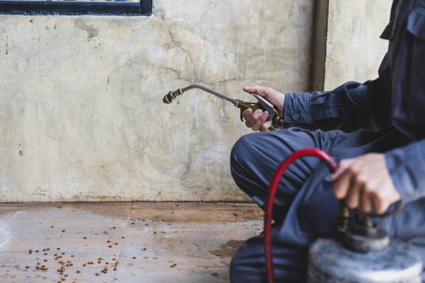 Best Flea Control Services  in Benson, AZ